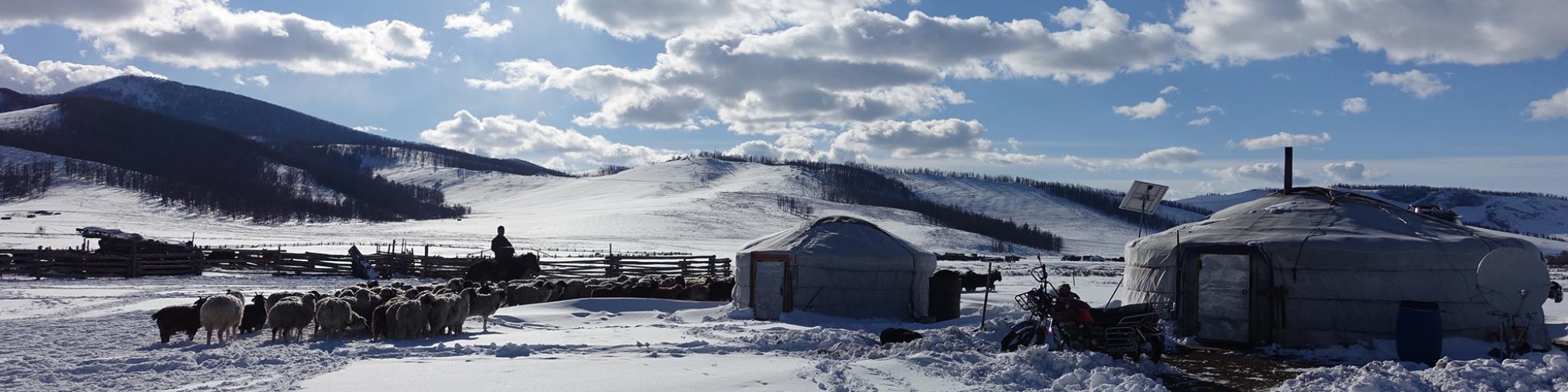 Mongolian settlement in snow