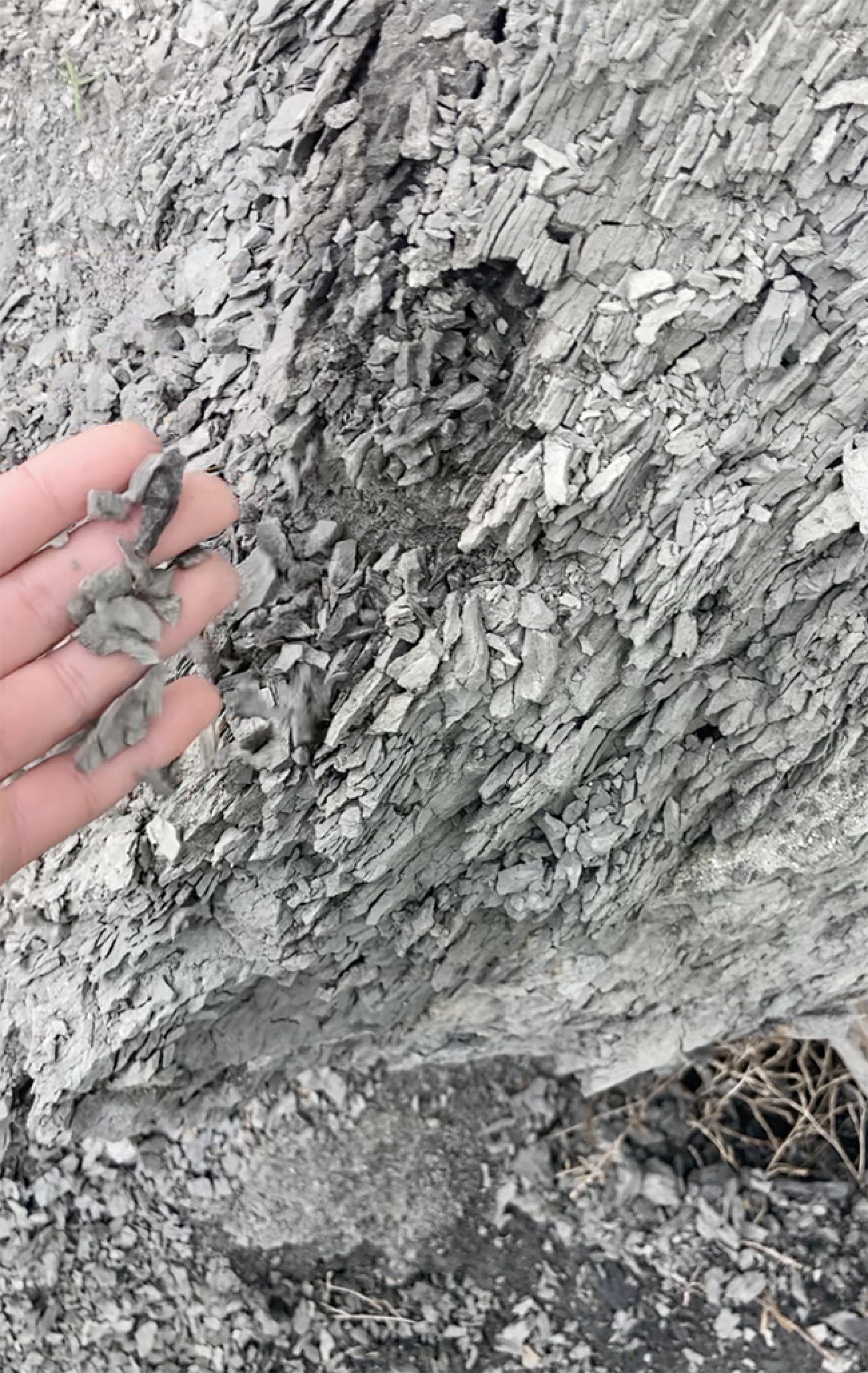 Figure 2: A close-up picture of the discarded soil and rock in the mounds of tailing. The tailing felt like small pieces of bark which crumbled to dust when it was touched. Photo: Emilie Barrelle