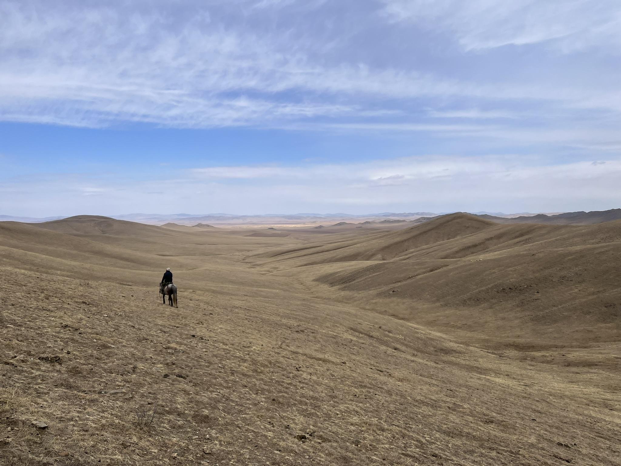 Horse rider in grassland