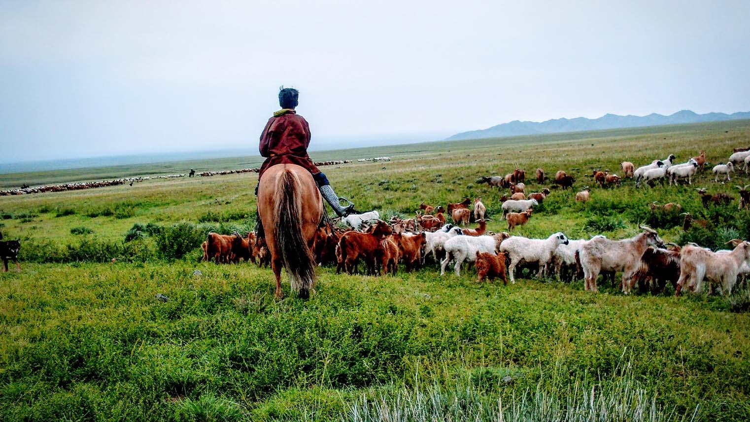 Mongolia